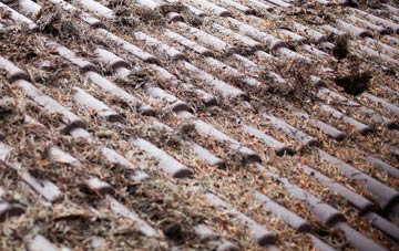 Mial roof cleaning companies