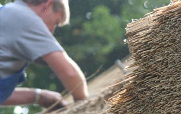 professional Mial thatchers