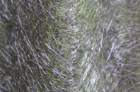 Mial fibreglass roof work