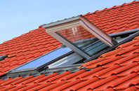 Mial roof window