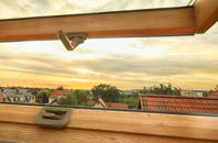 rated Mial roof window companies